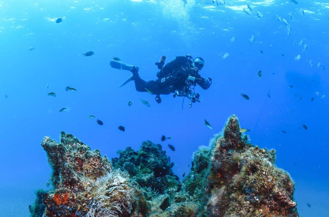 Volcanic Underwater Landscape