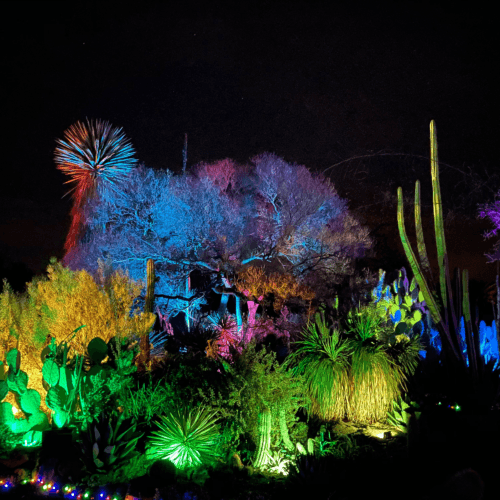 Garden of D'Lights