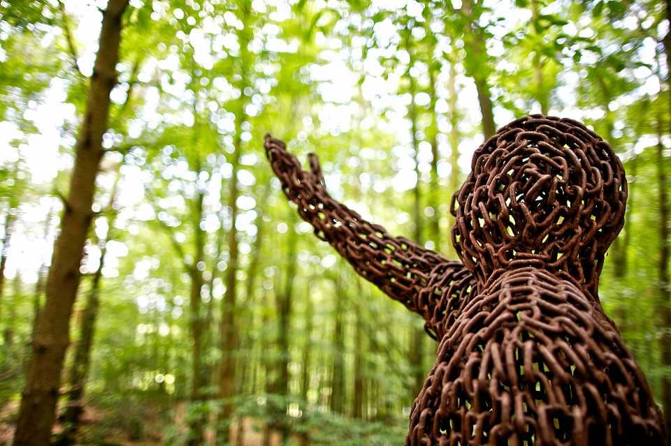 Woodland Walks & Sculptures