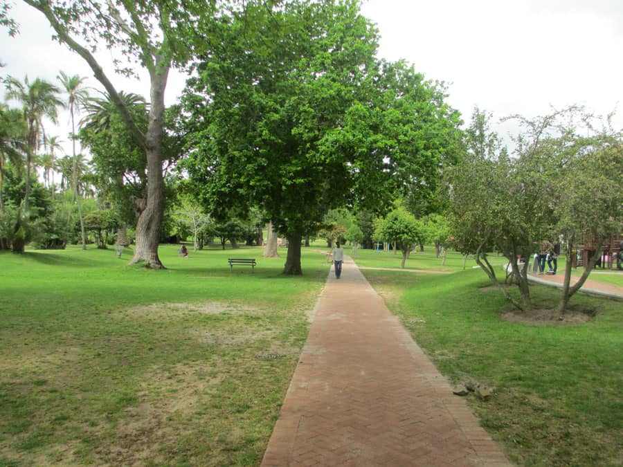 Expansive Lawns & Shade Trees