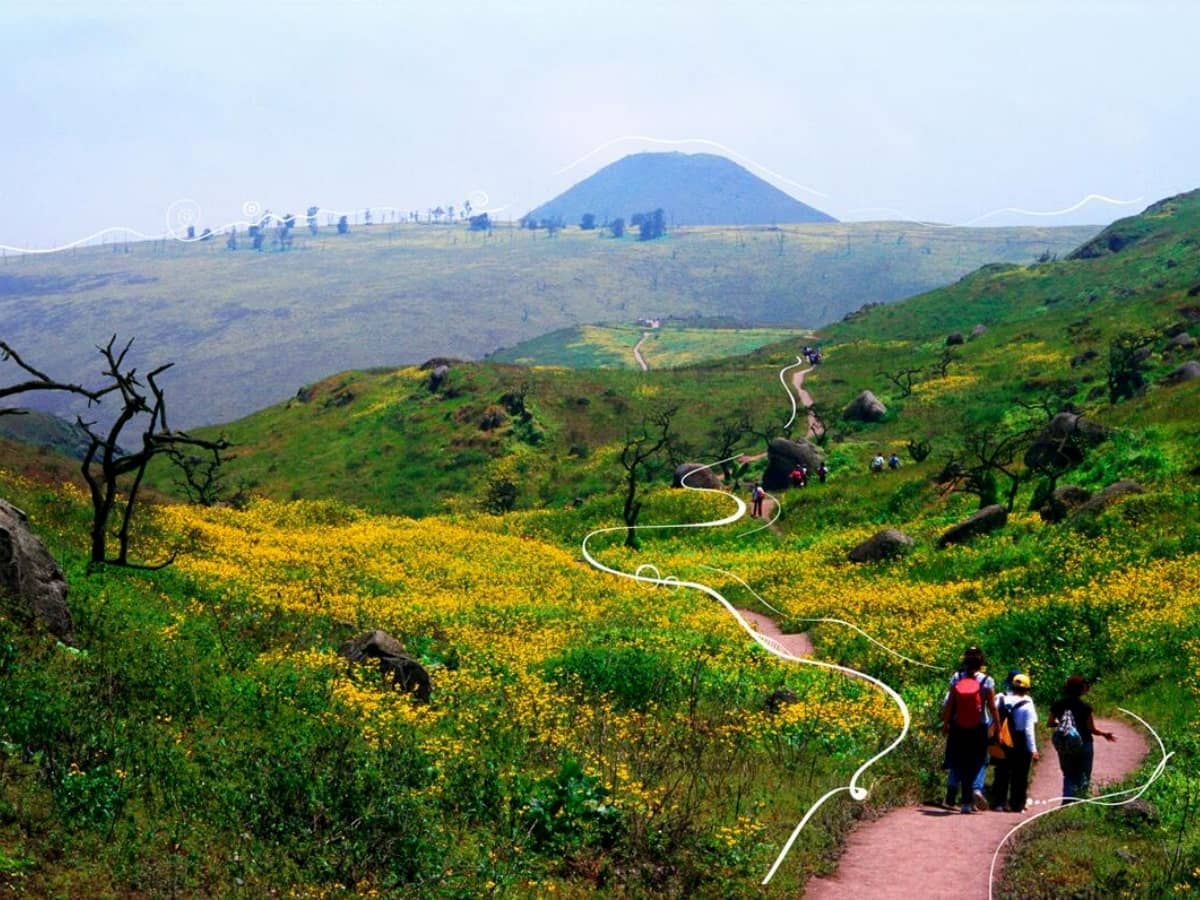 Hiking Trails