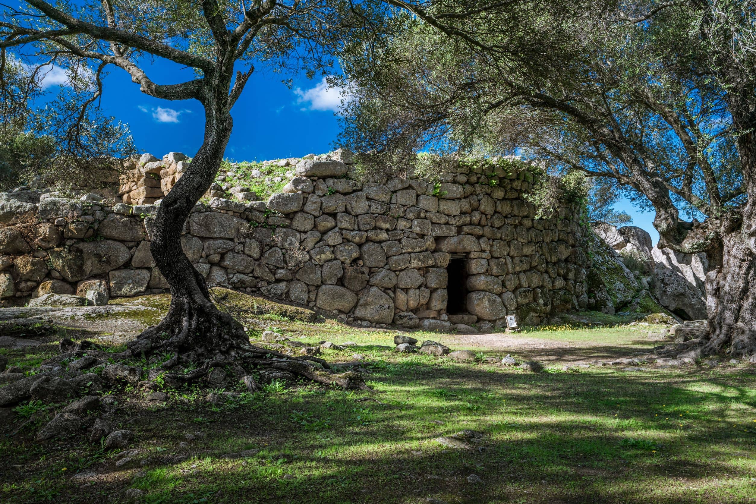 Mediterranean Macchia