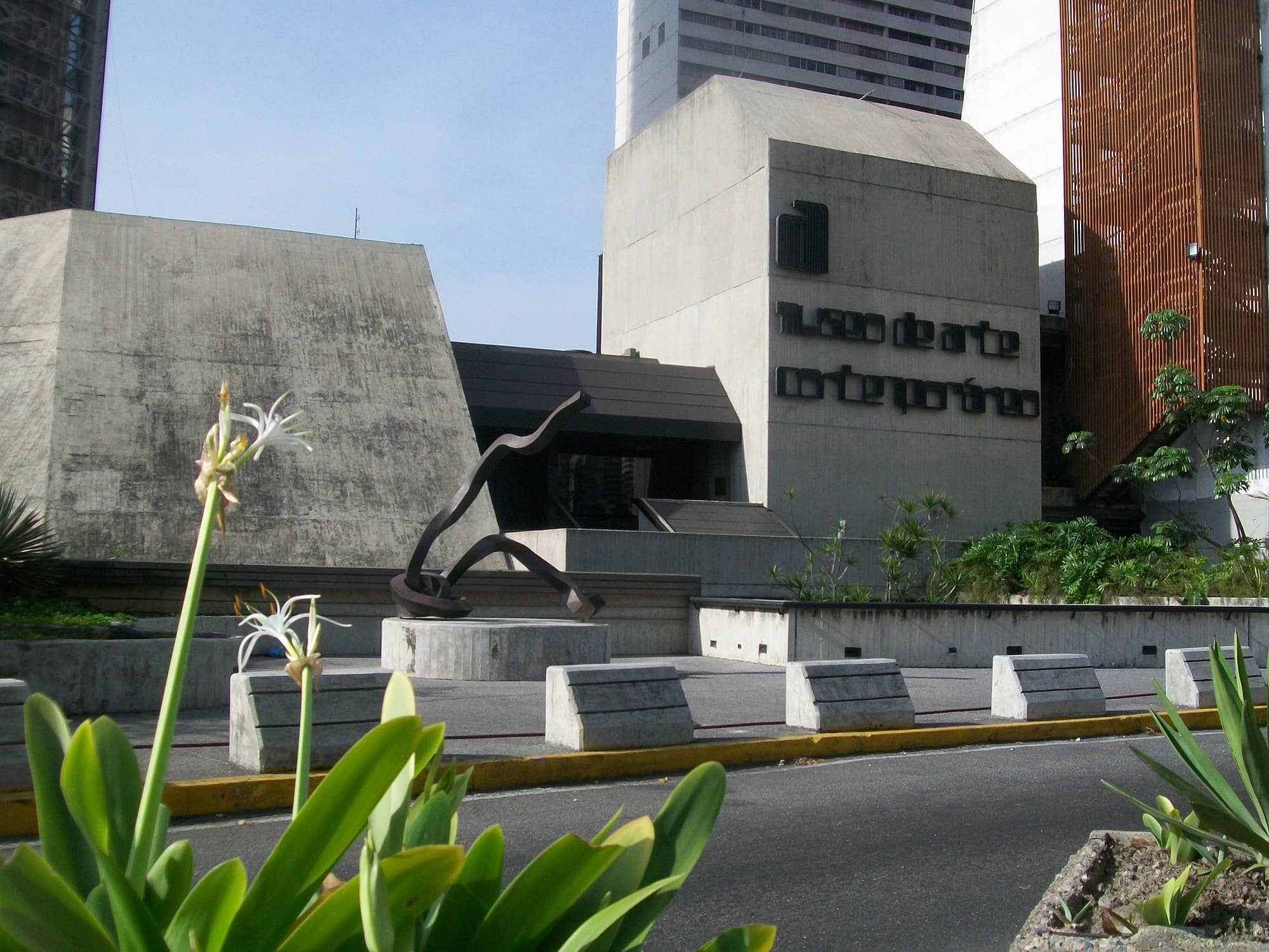 Venezuelan Artistic Identity
