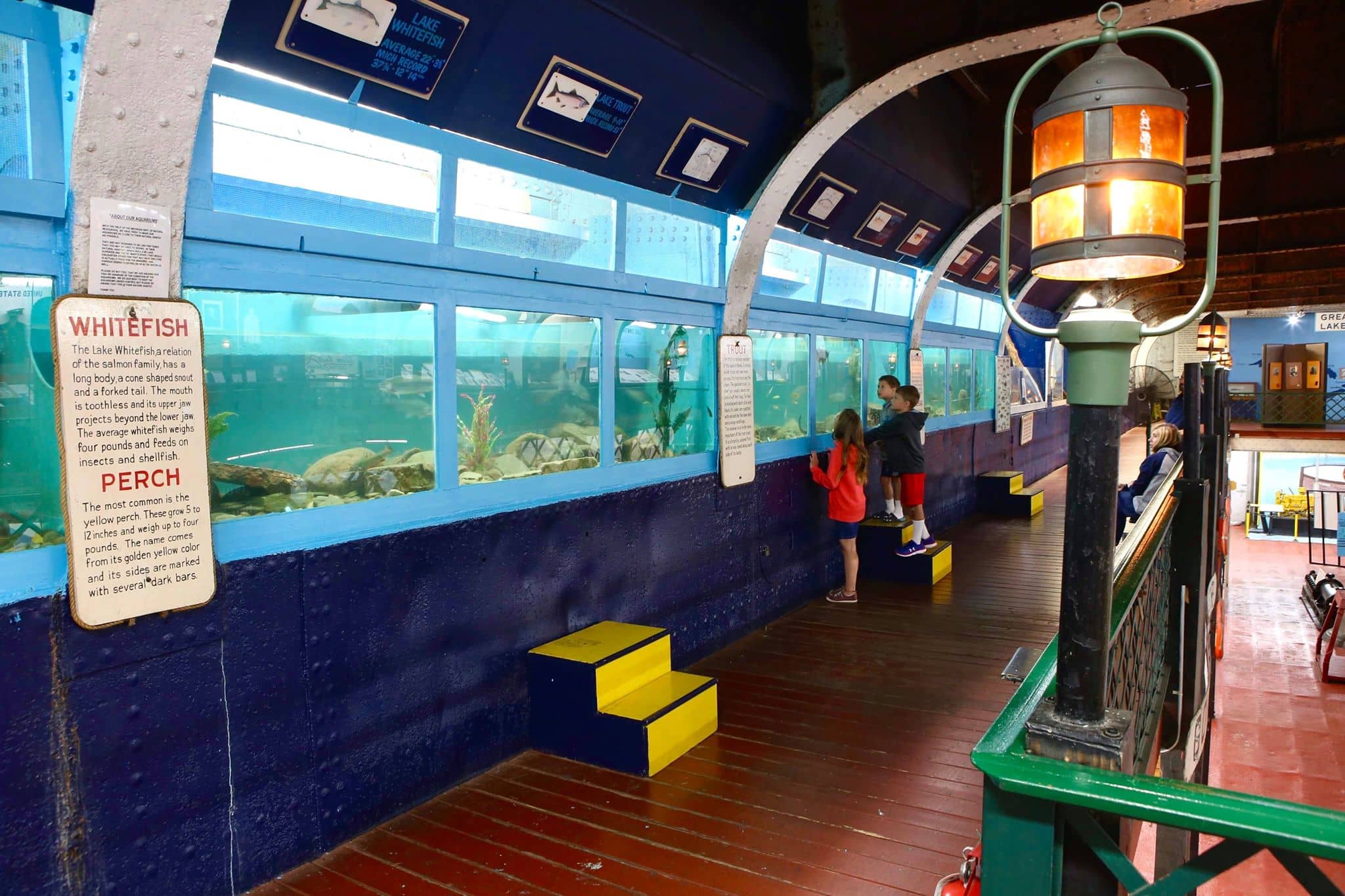 Aquarium