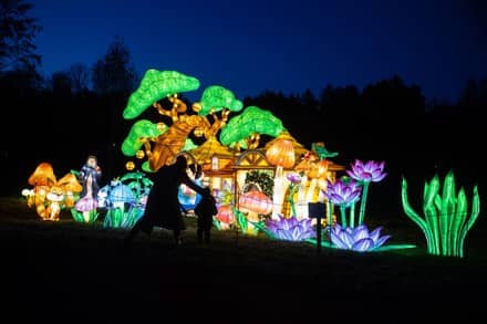 Magical Light Figures