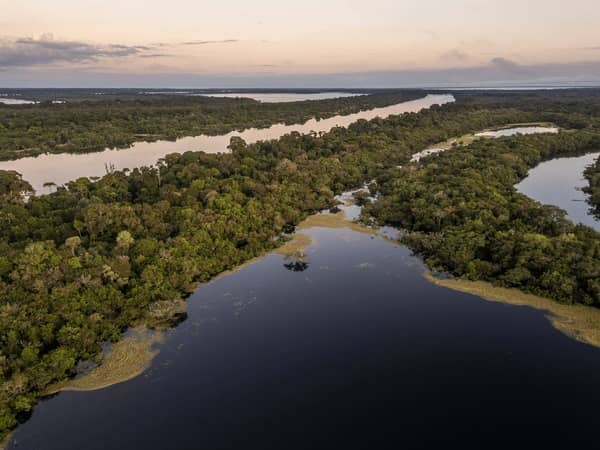 Natural Beauty of the Amazon