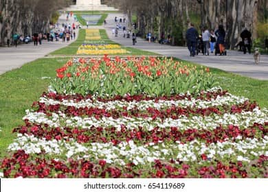 Vibrant Flowerbeds