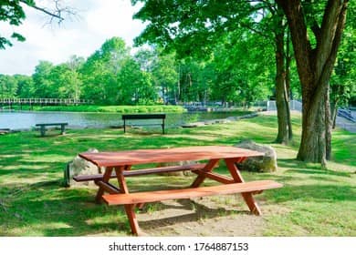 Picnic & Grill Areas