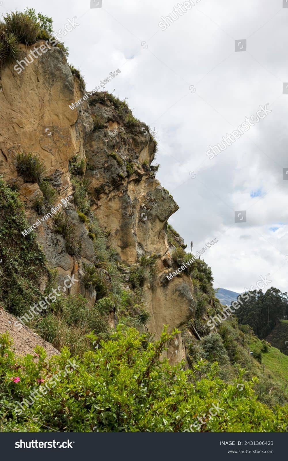 Face of the Inca Rock Formation