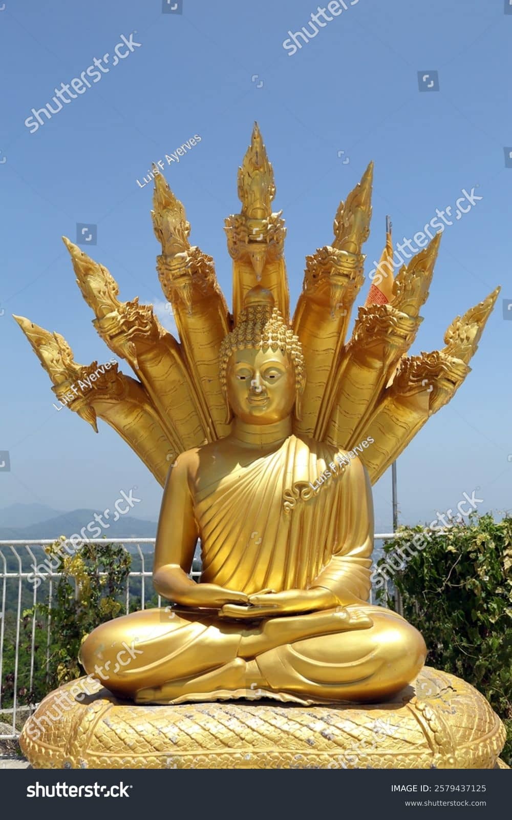 Golden Buddha Statues