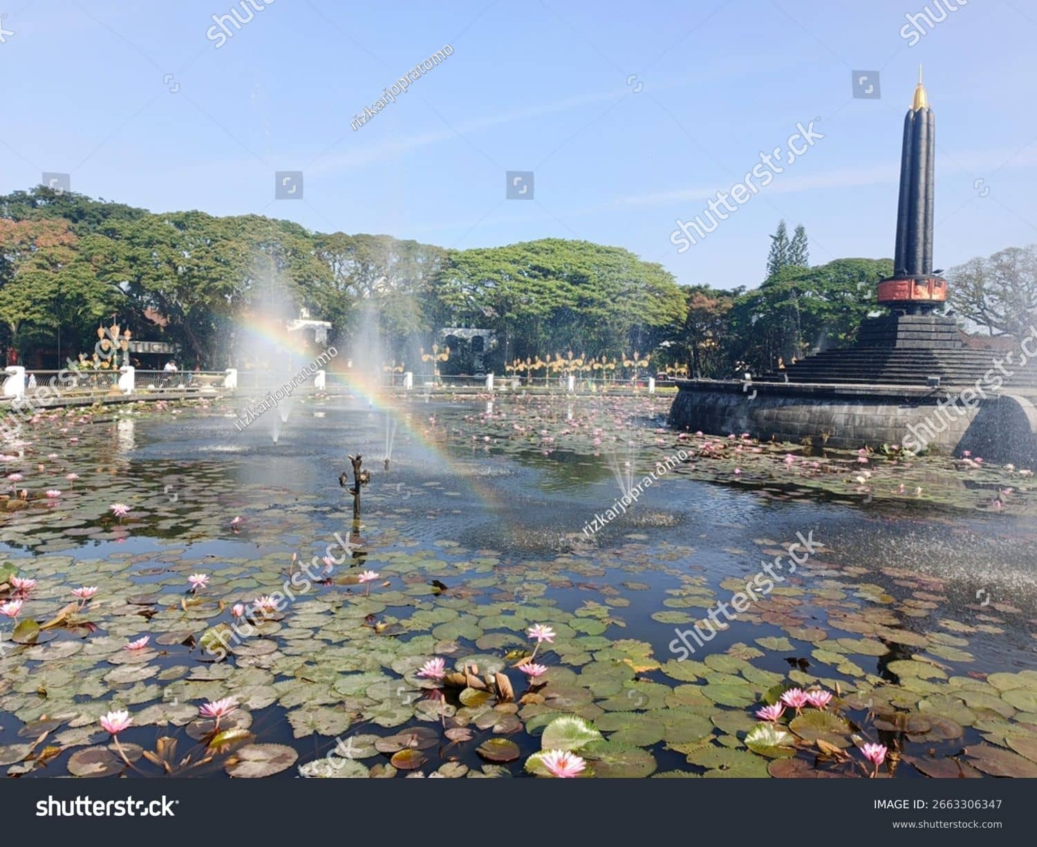 Lily Pond Oasis