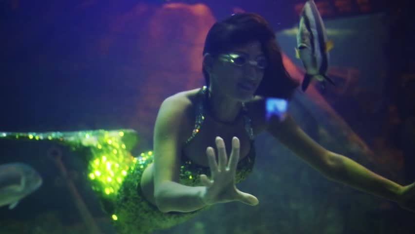 Mermaid Shows