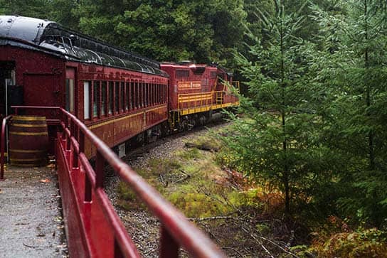 Skunk Train Adventure