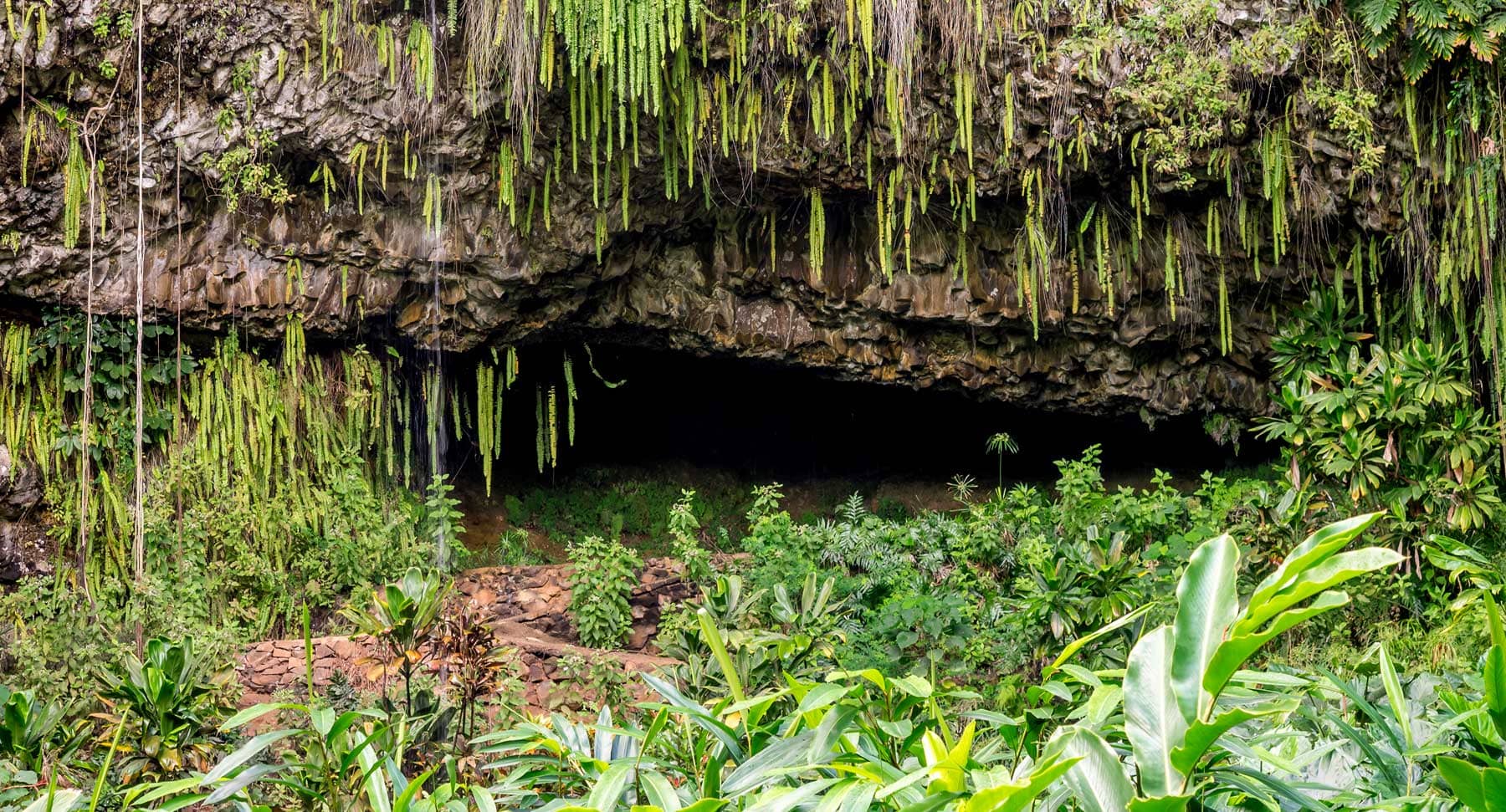 Fern Grotto