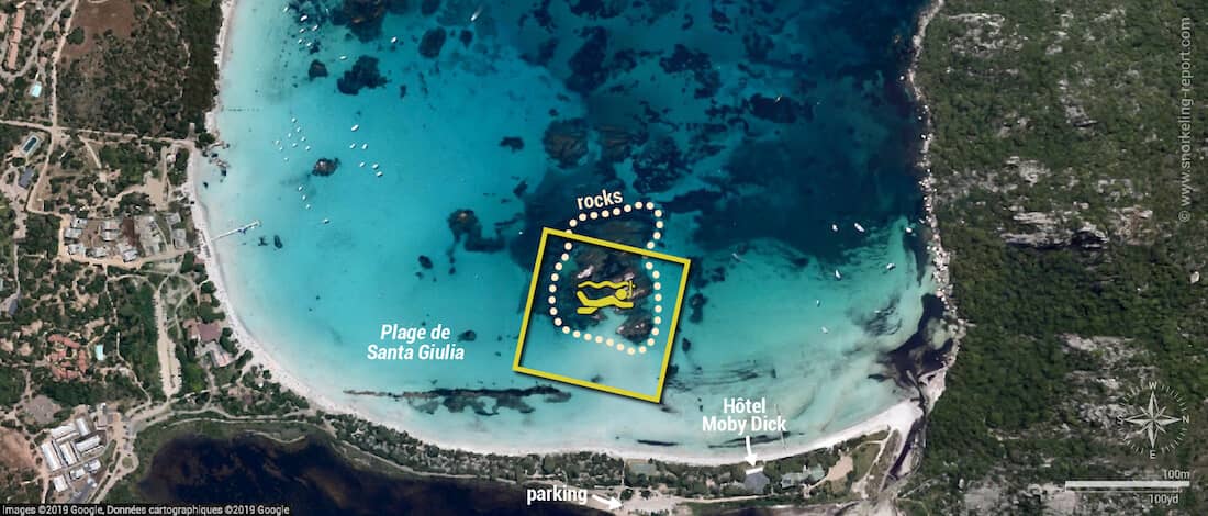 Abundant Marine Life for Snorkeling