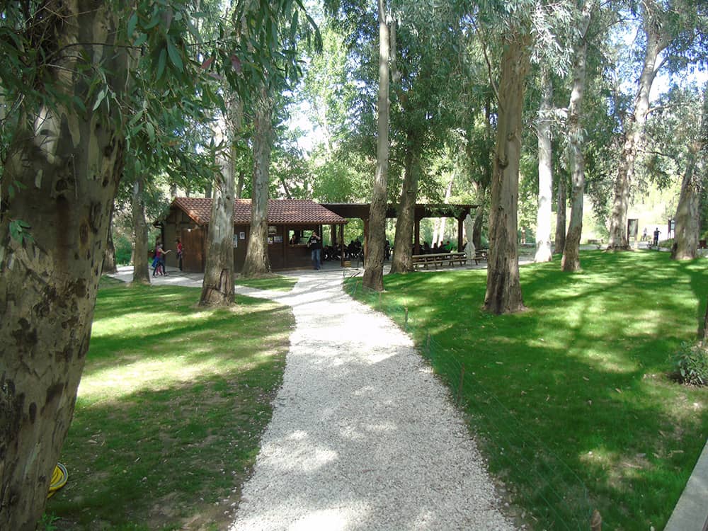 Picnic and Playground Area