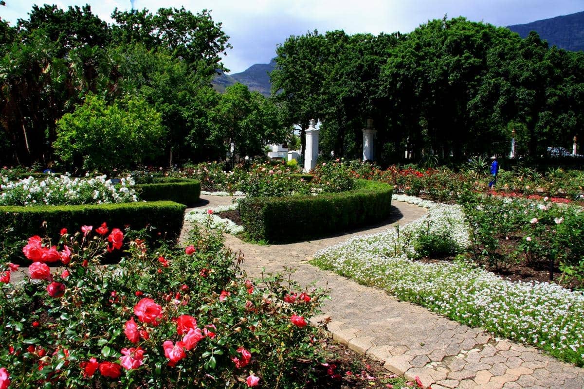 Rose Garden
