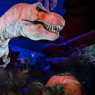 Paleontological Museum