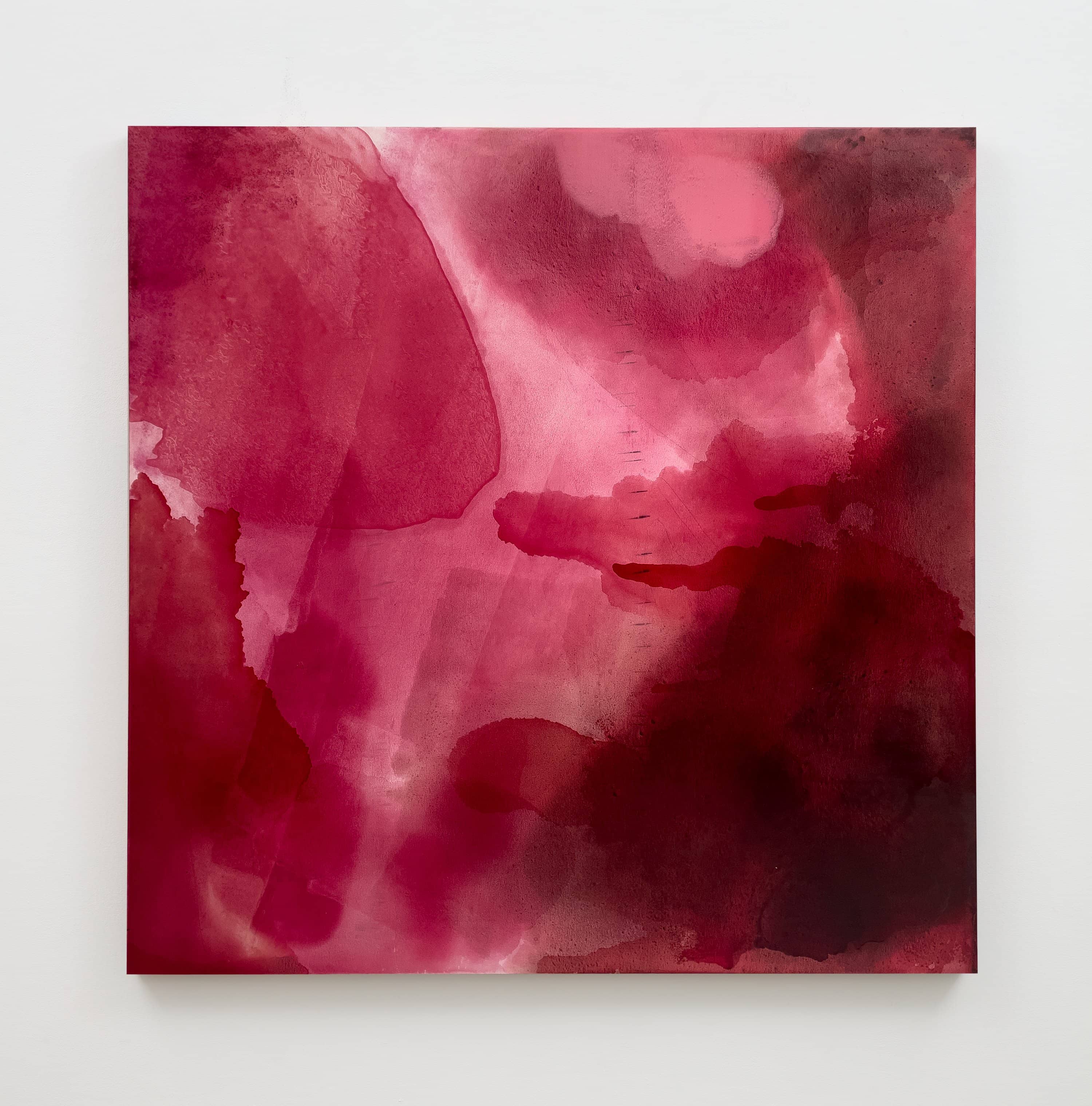 Amanda Williams: We Say What Black This Is