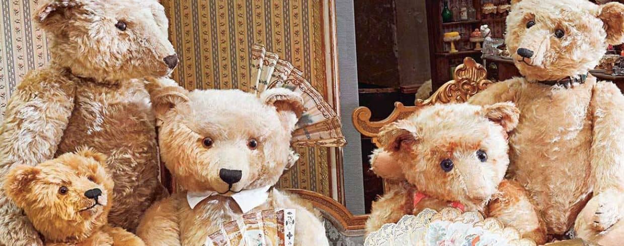 Vast Teddy Bear Collection