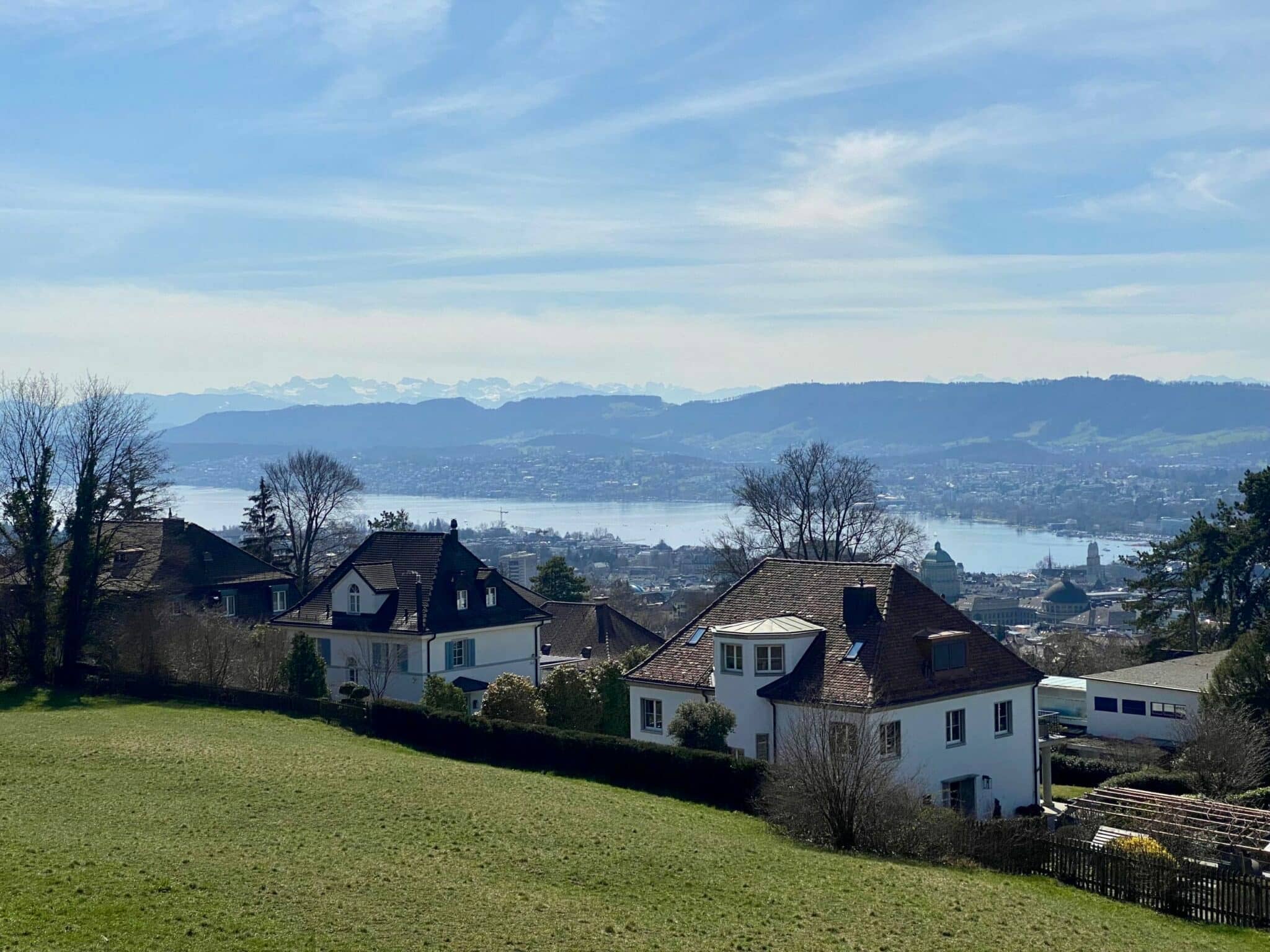 Rigiblick Viewpoint