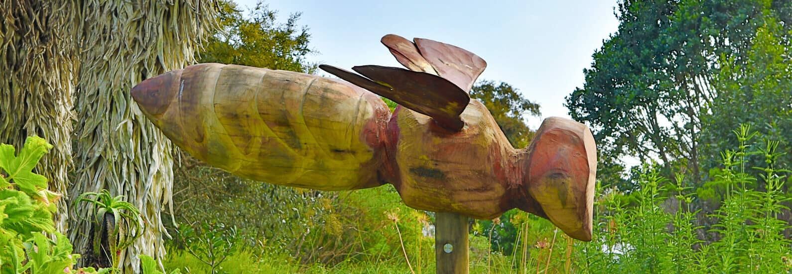 Indigenous Gardens & Birdlife
