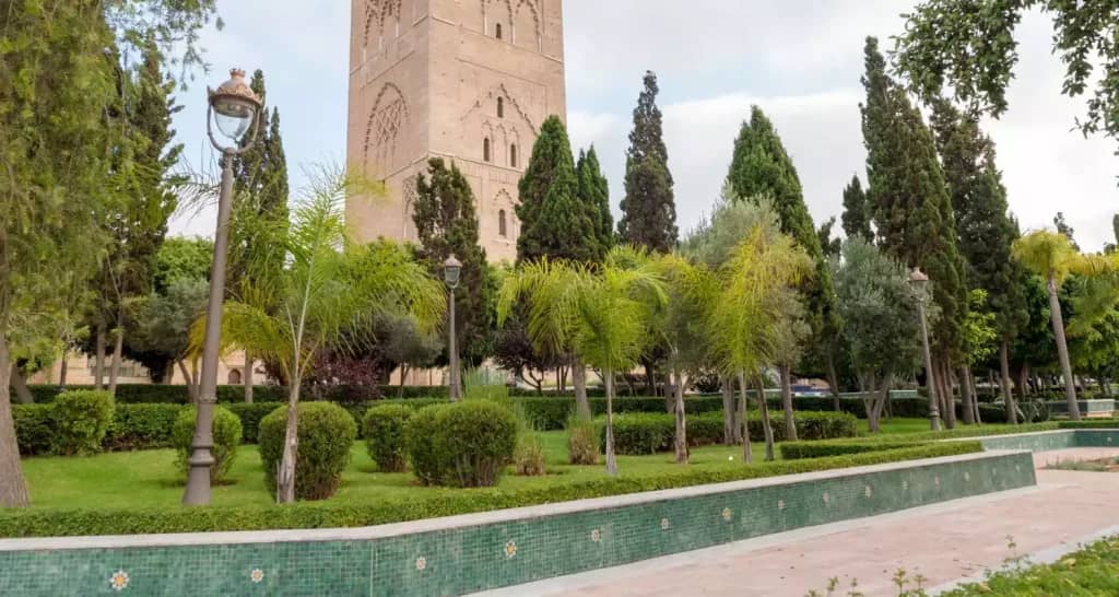 Lush Greenery and Mature Trees