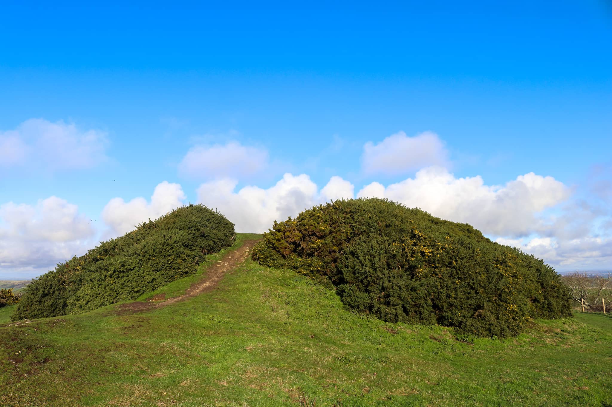Ancient Burial Mound