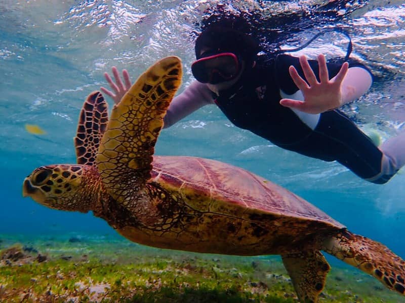 Abundant Marine Life