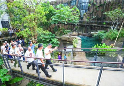 Tropical Rainforest Area