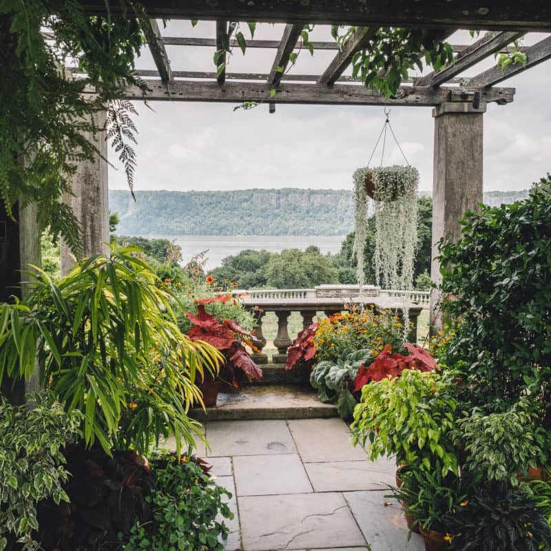 Medieval Gardens