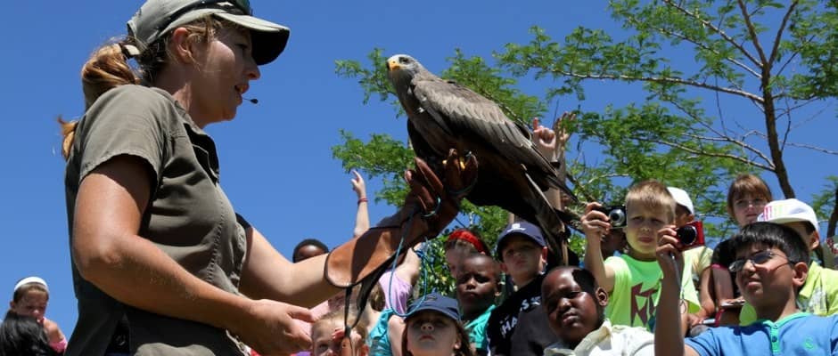 African Raptor Centre