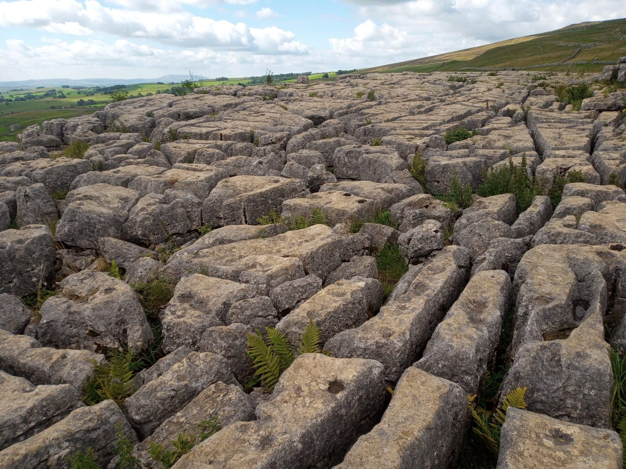 Malham Cove Limestone Pavement