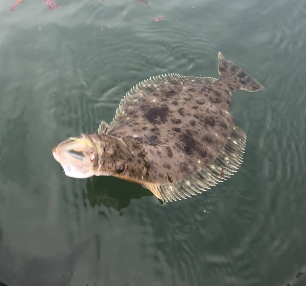 Fishing Adventures