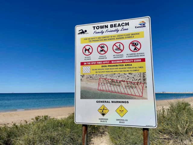 Dog-Friendly Shores