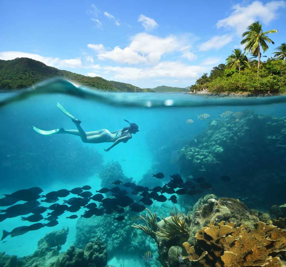 Underwater Wonders