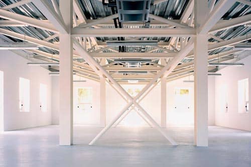 Art Exhibitions