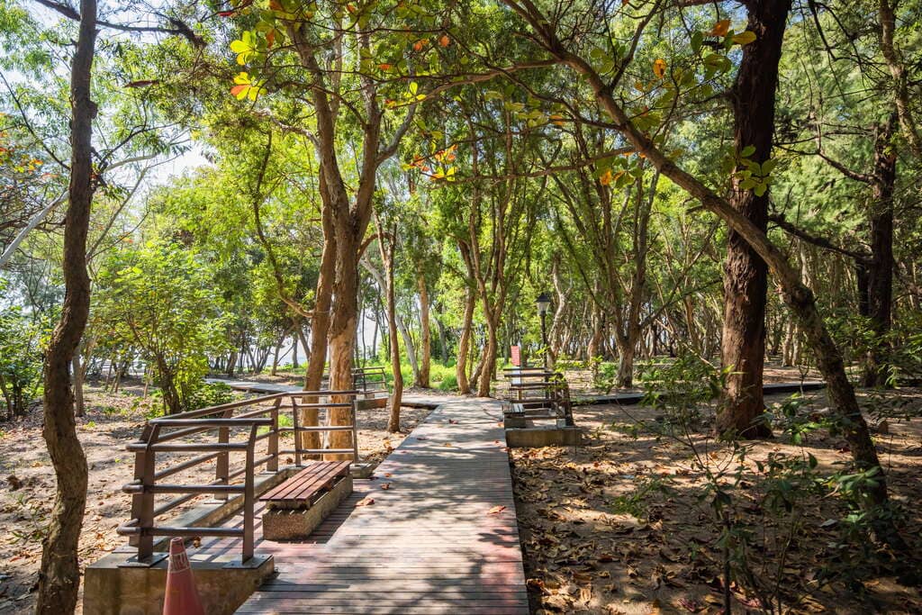 Forested Trails