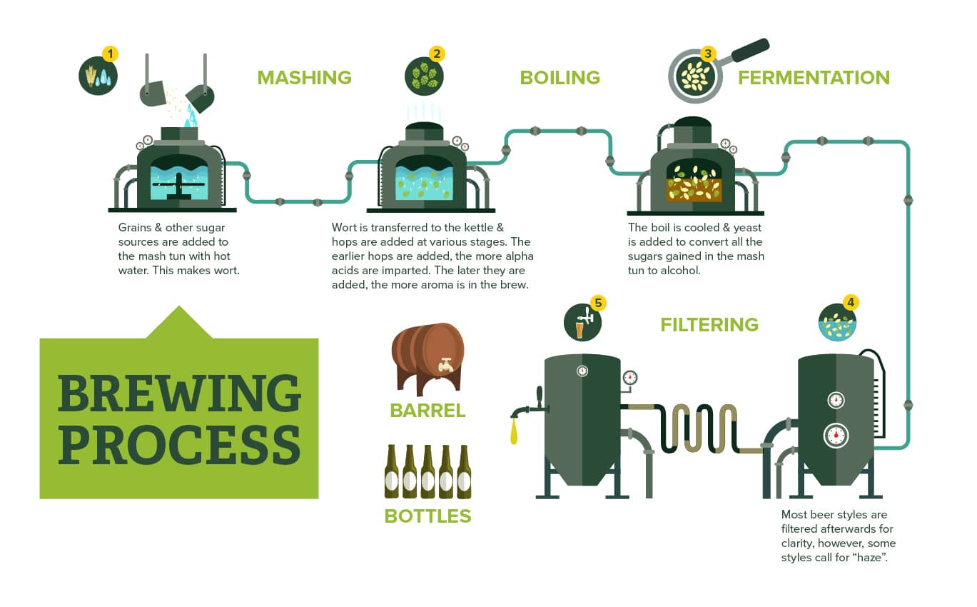 Hops to Beer Journey
