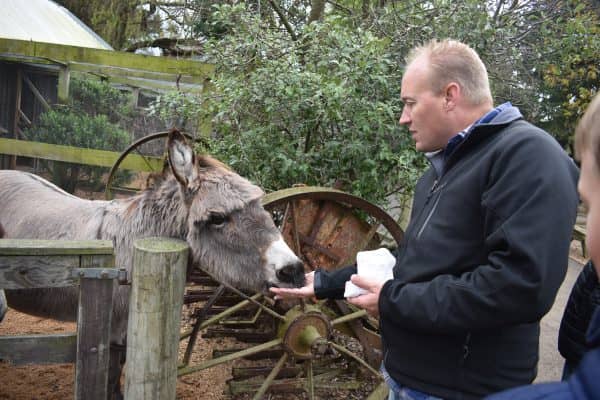 Animal Feeding Experiences