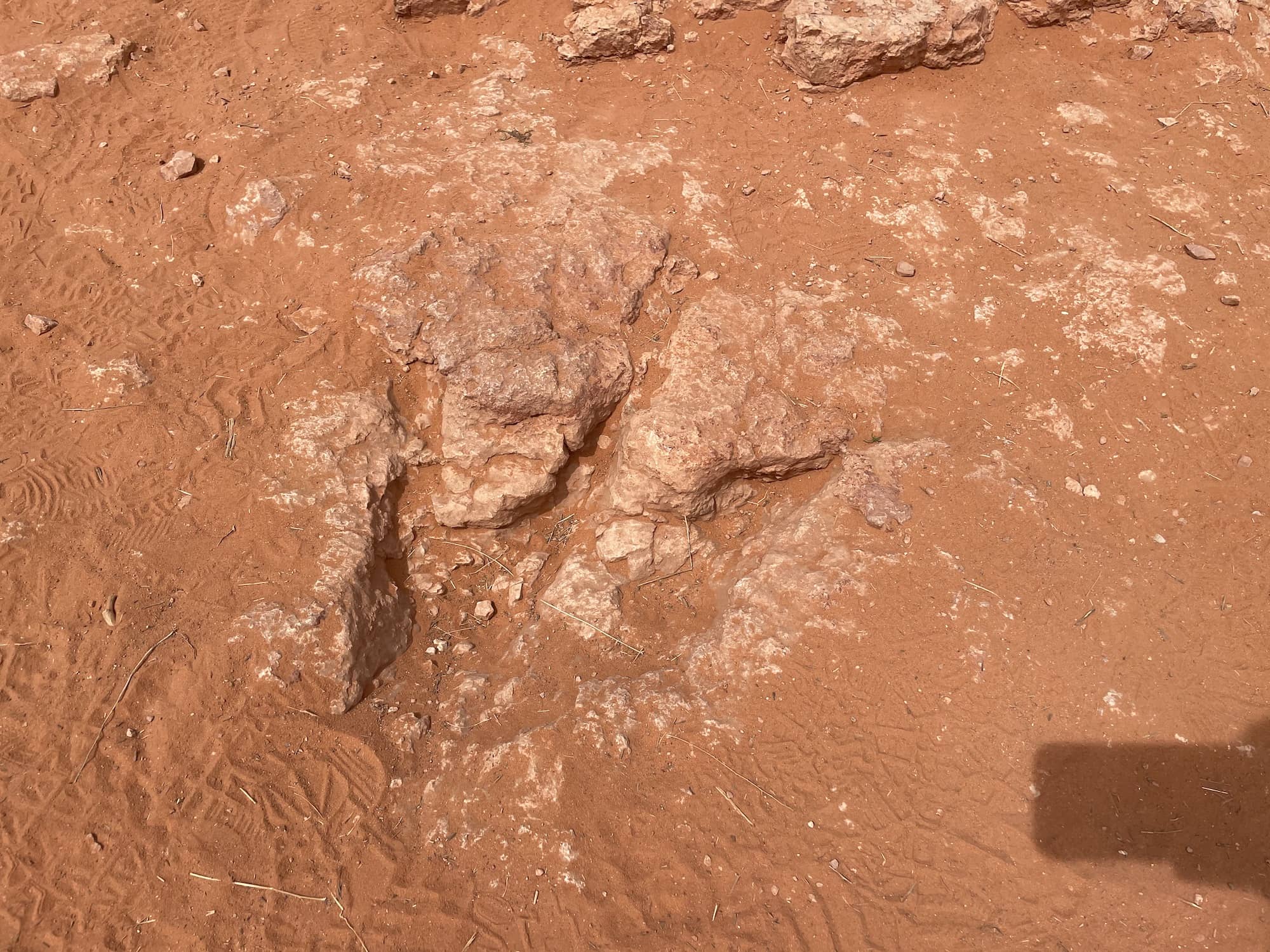 Red Cliffs Dinosaur Track Site