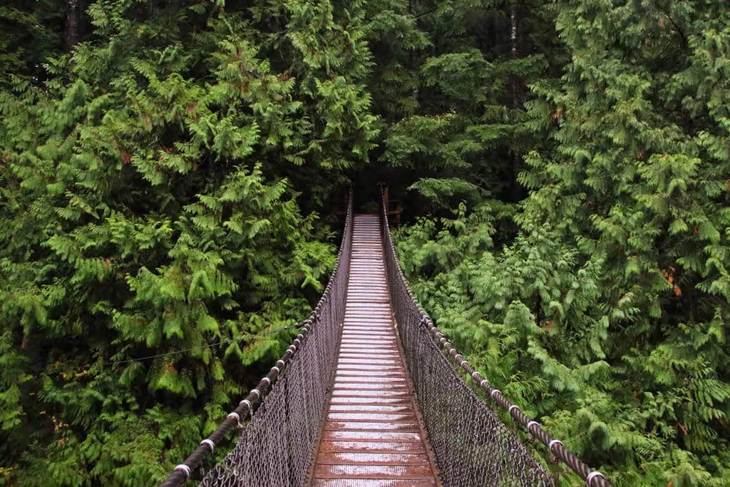 Twin Falls Bridge