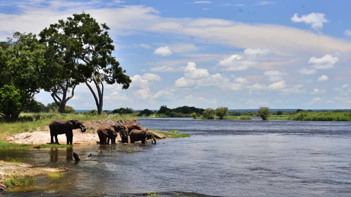 Zambezi River Frontage