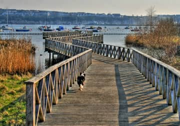 Boardwalk Trails