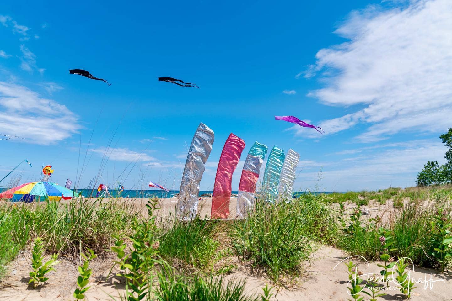 Kite Flying Paradise