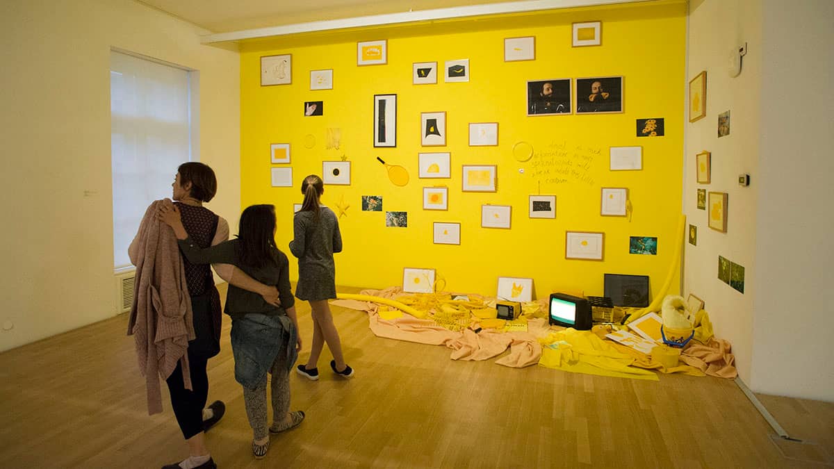 Interactive Art Installations