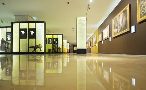 Art Exhibitions