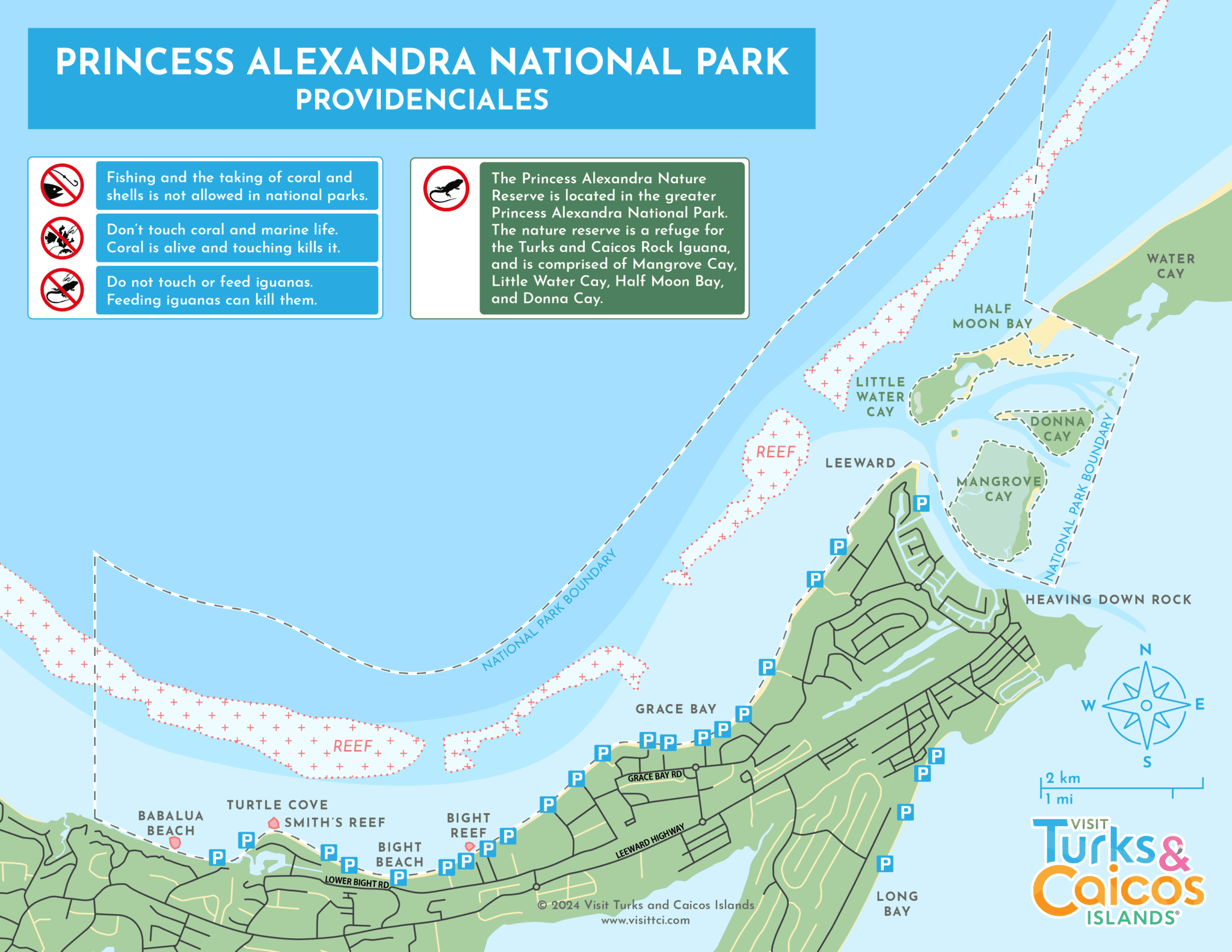 Shoreline Snorkeling