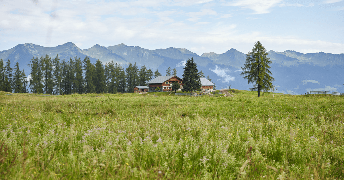 Alpe Rona Hike