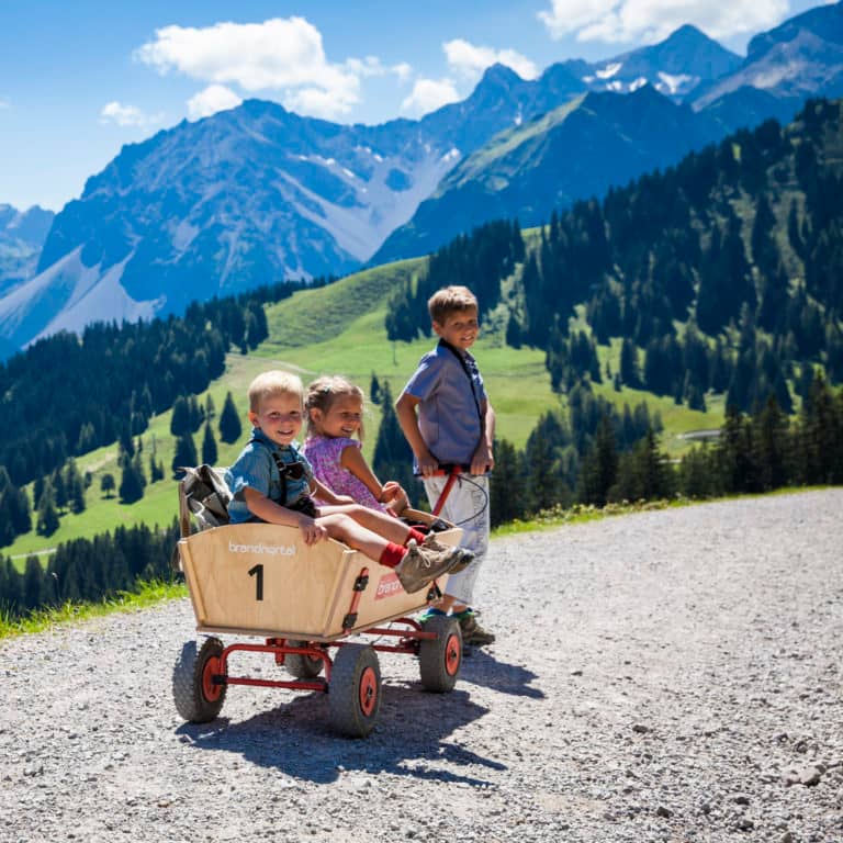 Stroller-Friendly Path